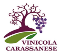 logo VC.png
